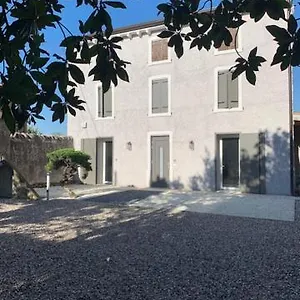 Magnolia , Pescantina Italia